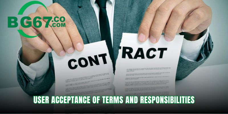User acceptance confirms full agreement to all platform rules